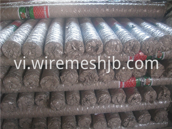 Hot-dip Galvanized Hexagonal Wire Netting